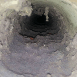 Four Star Plumbing & Air Conditioning Why a Professional Dryer Vent Service Is Worth Every Penny